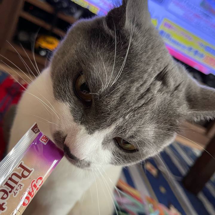 D76a2232 98d0 44c8 8701 1b569564a302 1663741302288