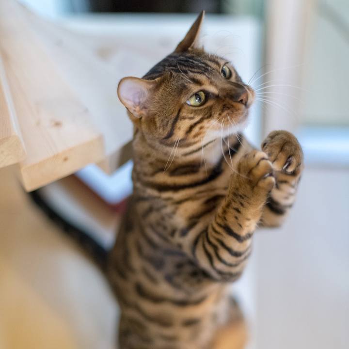 D76a2af9 b0f1 44e5 a7c1 d3ed216b80d4 1520825065495