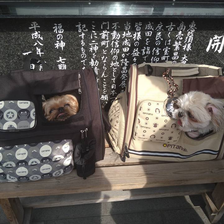 D76a849b 3934 4eb6 bd5a ba054dbcfd23 1616922959800