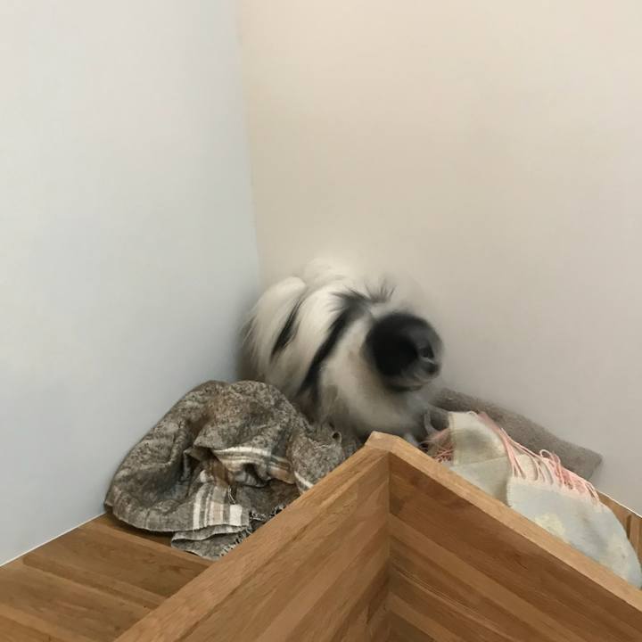 D76ab464 f93f 410c a12a bff3365e69bb 1526190201467