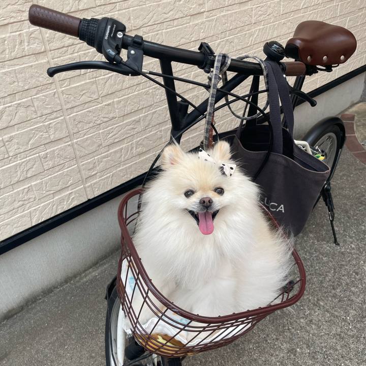 D76ac8bc 2f92 4764 9cf4 dafb1773ee70 1691468551020