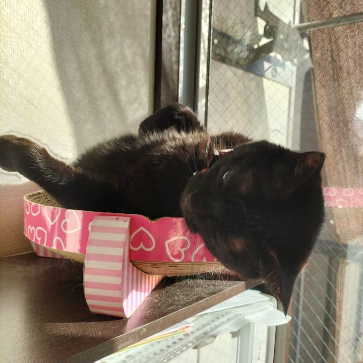 D76ad9b7 66c8 4506 a4b2 8df718da4f8e 1639786050727