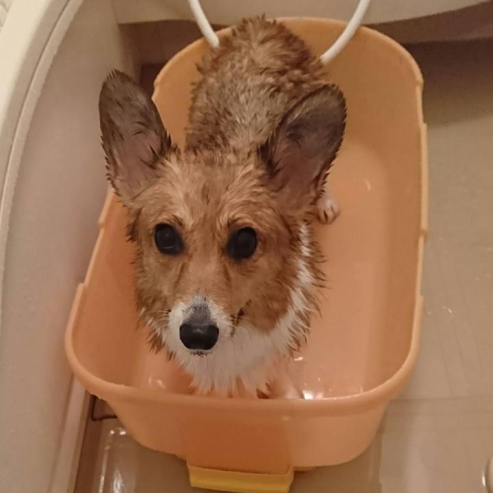 D76ae7b0 b55a 4cff b728 6d0f81fa86c3 1514116334687