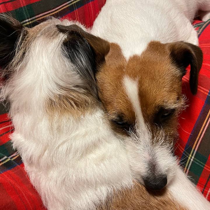 D76b027b 524e 4009 b7ee ef5f7eca420f 1670724287144