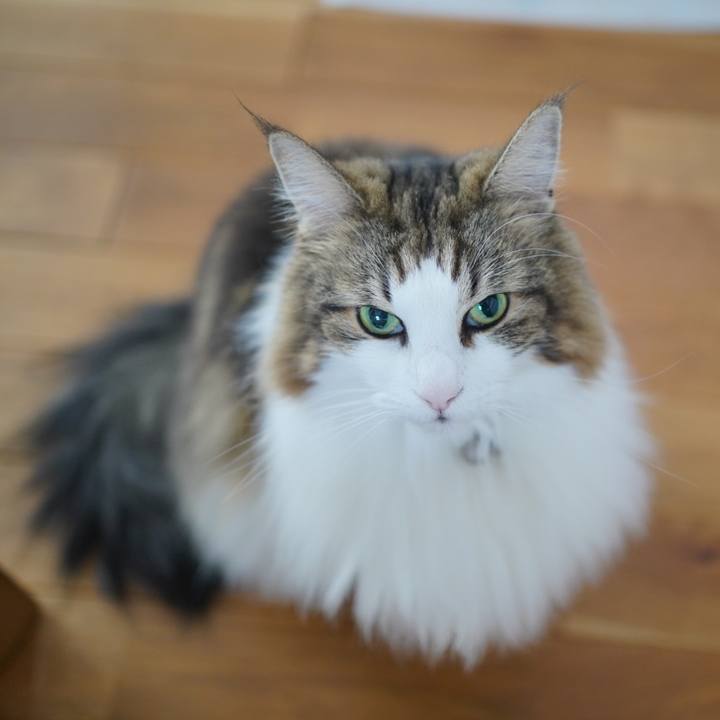 D76b18af a25e 4192 ae3d fc81d2d86041 1696835478834