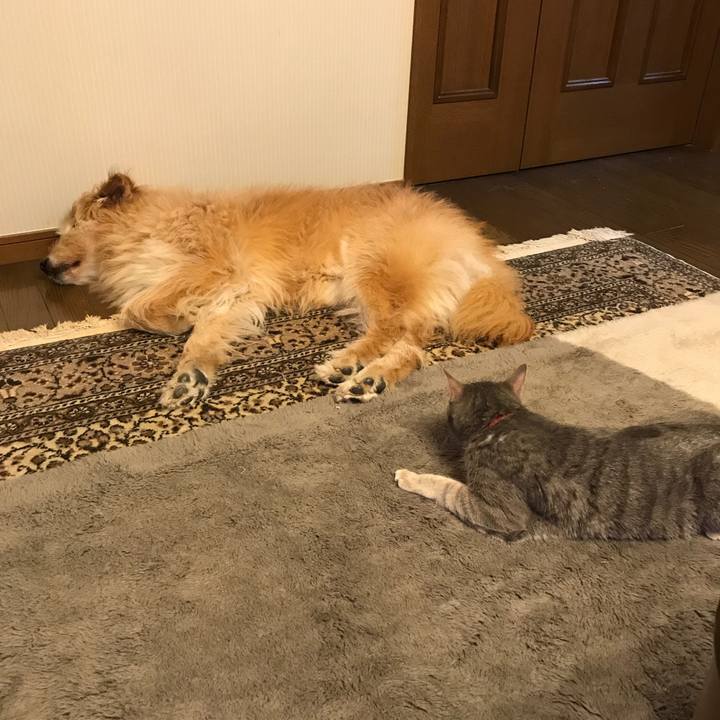 D76b2d3f 5ee8 401a aa47 29d55c953404 1546525101895