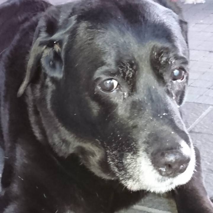 D76b2f08 5597 4124 b781 b7b6019c15cc 1548544877870