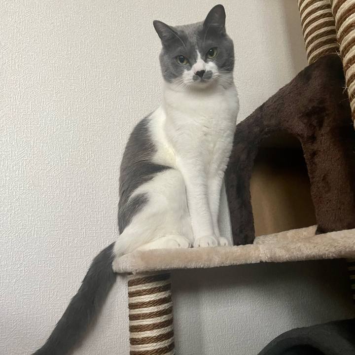 D76b35e5 6904 4c66 a018 21e9fd51f47c 1664321593658