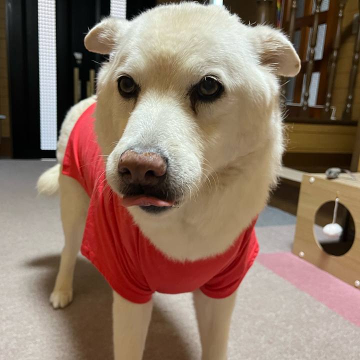 D76b3ff2 d148 49a4 ae48 ab75e20c1c26 1764544925211