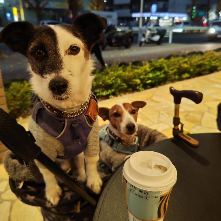 D76b48ab 2361 4413 904b e23608e32a2b 1734776092127