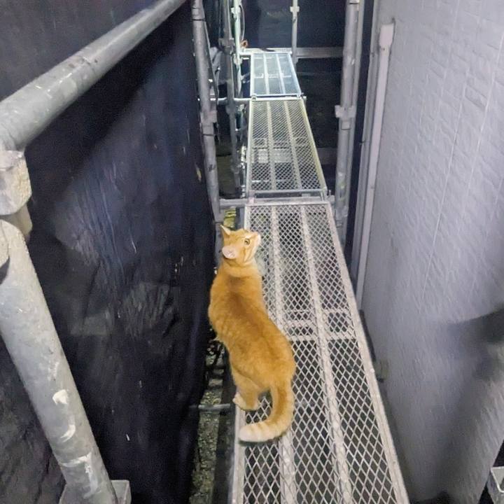 D76b53c2 d479 46e7 8a7c e003003012b7 1771168763195