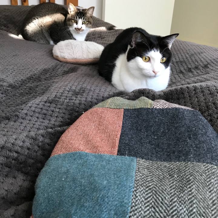 D76b913c c0e2 41ac 8797 7af33df5154c 1511491339521