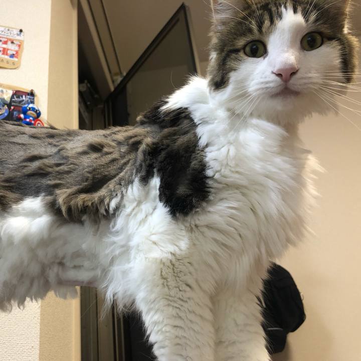 D76b9b63 ed07 4f1f 8d52 d76c0db90b0e 1565148504299