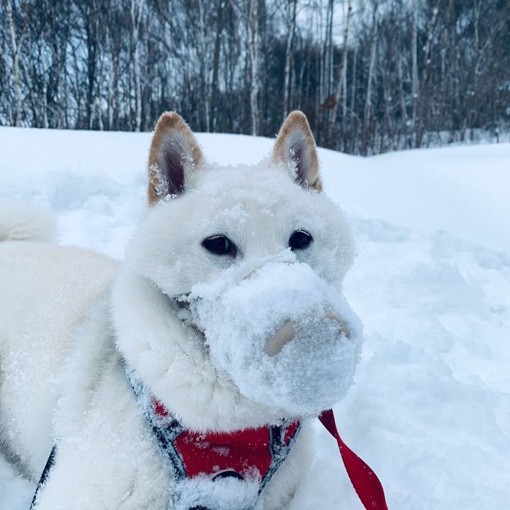 D76ba5fc e66a 4d20 b688 1ad2db299351 1609202759743