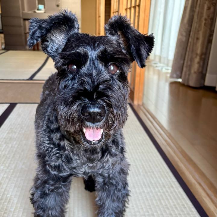 D76bb214 b636 445c a34b df921870161c 1756597133893