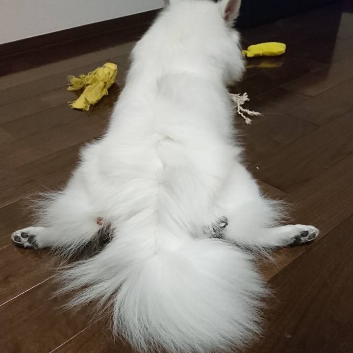 D76bec99 3272 4467 a63e a7b608bad736 1539359833211