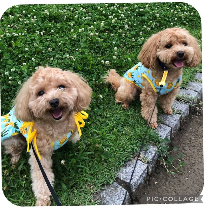 D76bedef d5a7 4b6c b5eb 3d8f76fbdef4 1625325168054