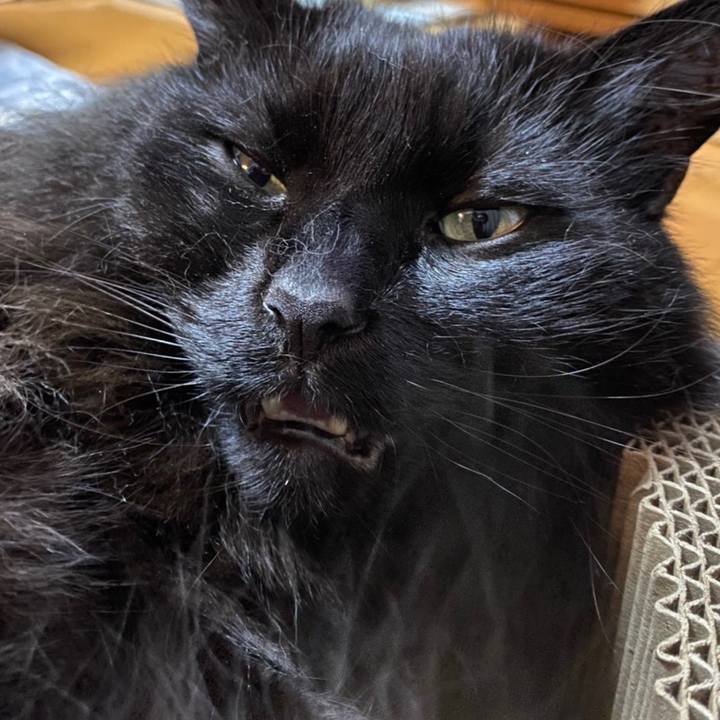 D76c64f3 b867 4029 b361 2c1152962924 1583587667047