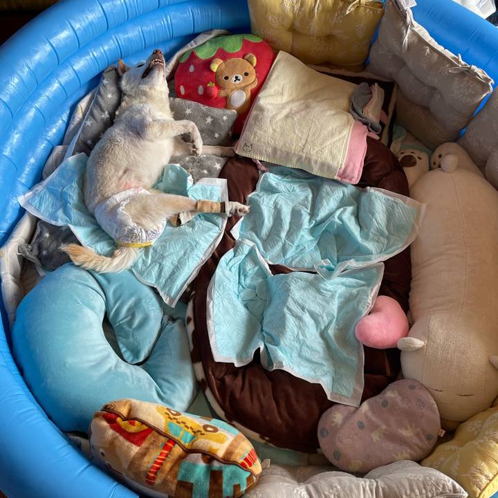 D76ca710 771f 47e8 9c21 e99119ef45f7 1678419633567