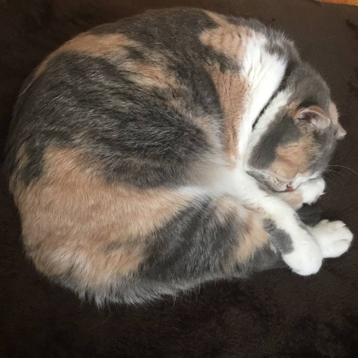 D76cd20a 08cd 40eb a9eb 928216c770fd 1570496243390