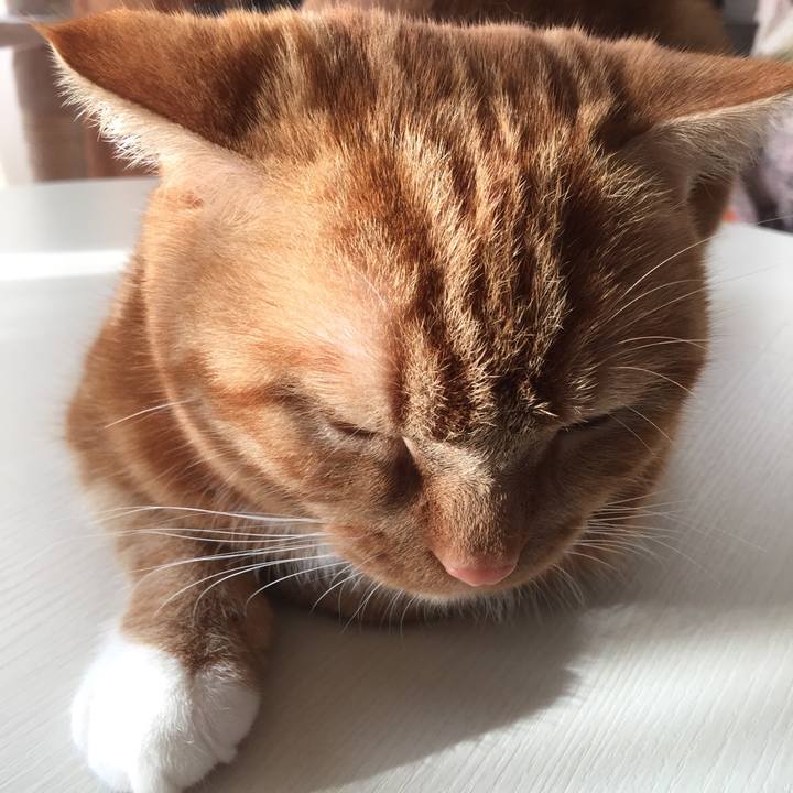 D76cdbc0 9740 454d 833f 3af101febd13 1512518803962