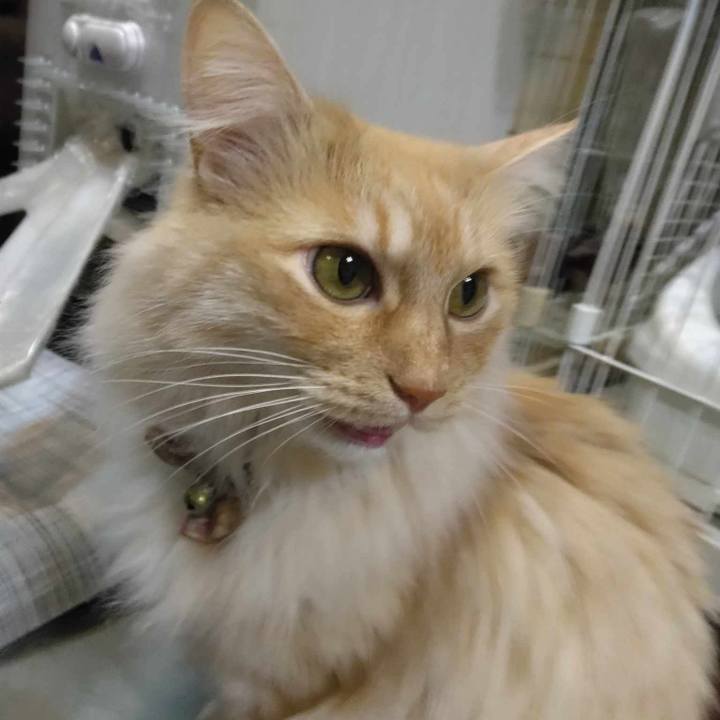 D76cdde3 a7fa 455d 8e19 8af20d56a187 1707129116936