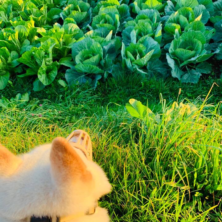 D76cf7b8 1644 442c 88f2 87eac382db28 1568670438747