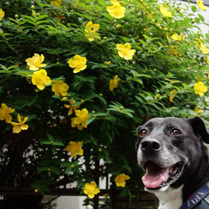 D76d51eb 816d 4507 8d7d 8ad76492f383 1716771369791