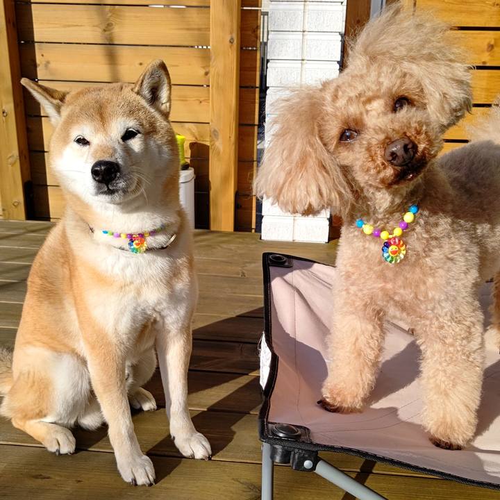 D76d9f8b eabc 4452 91d5 33b4600b4ced 1609203618518