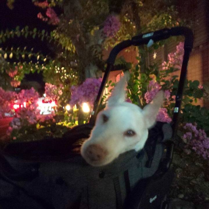 D76db2c5 a23c 4705 a03f 5883a82129f6 1601892364978