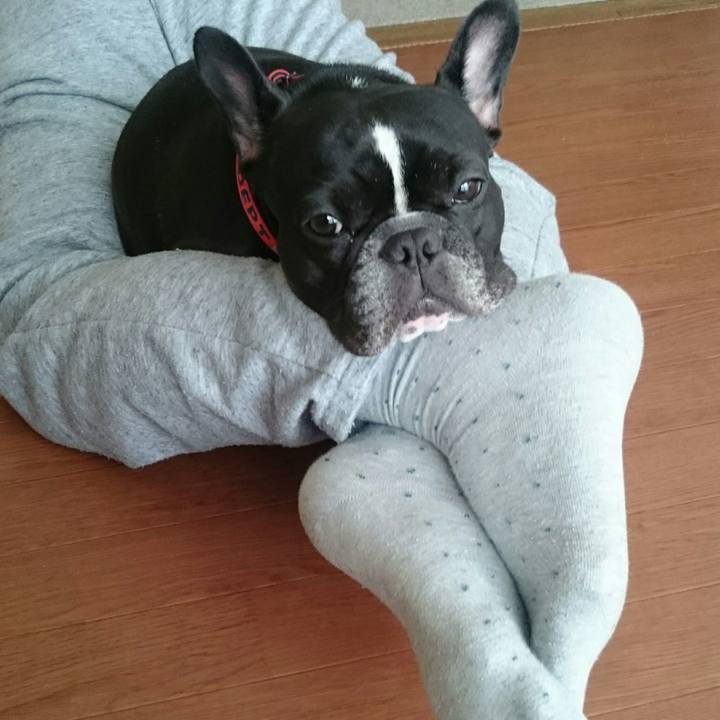 D76db4e0 2d7c 48dc ac9c fbcb844a3930 1509755852133