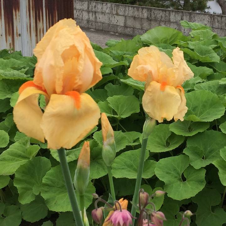 D76de6e9 5348 46a7 abd3 2f198abfbb79 1526170724755