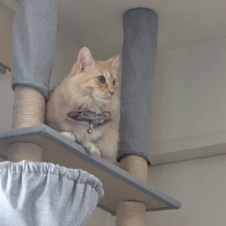 D76e2793 7f96 443b 9a4b 2b97c054658c 1734844505372