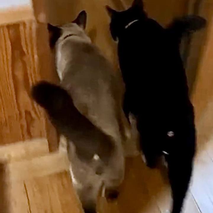 D76e412d 0c34 4e96 8f4f de164d2d7ab7 1728483575141