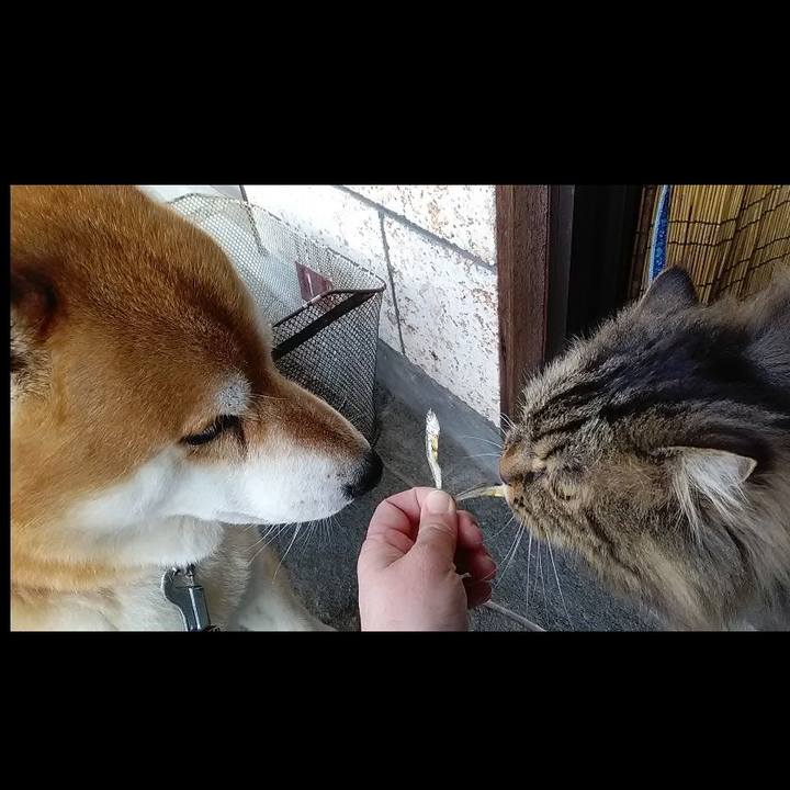 D76e5a13 2f2d 4f7b 8a62 9c72b109827a 1648973342684