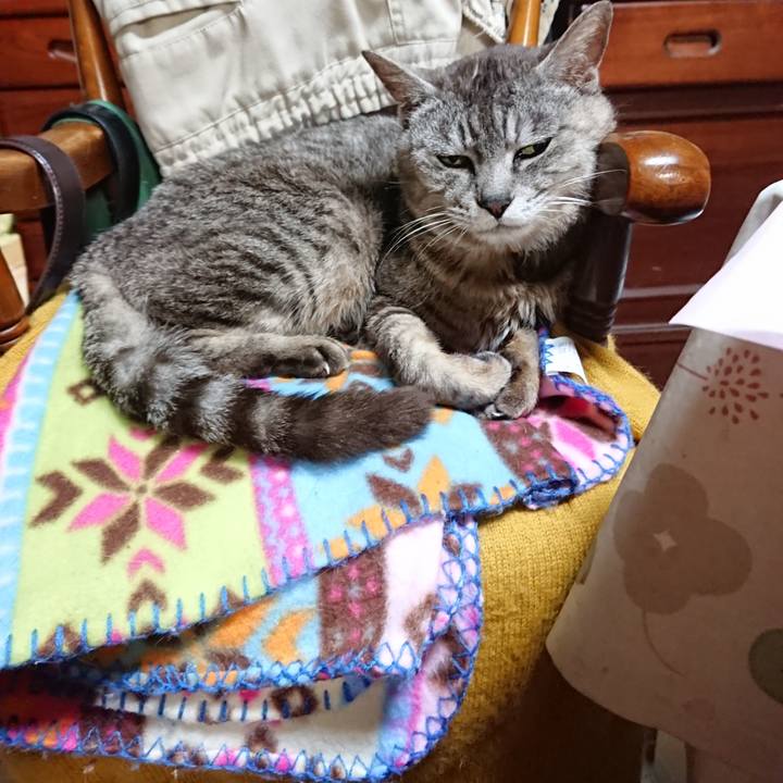 D76e7eef 808b 40c1 8534 dba158b12fad 1564832366933