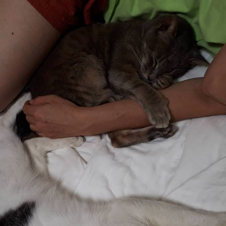 D76e9006 96ff 46ea bf9a d06cccfad52f 1628083624307