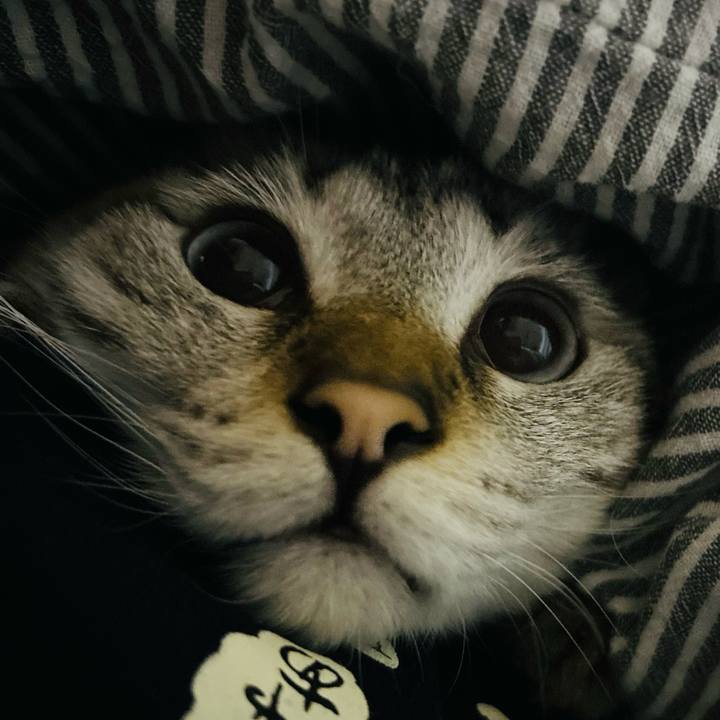 D76eac15 ab7b 4945 9c70 ca6c6caf7253 1763033524407