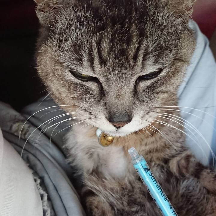 D76ec32b 6506 4c2e 9bbc 0bd71898ef0d 1592167666386