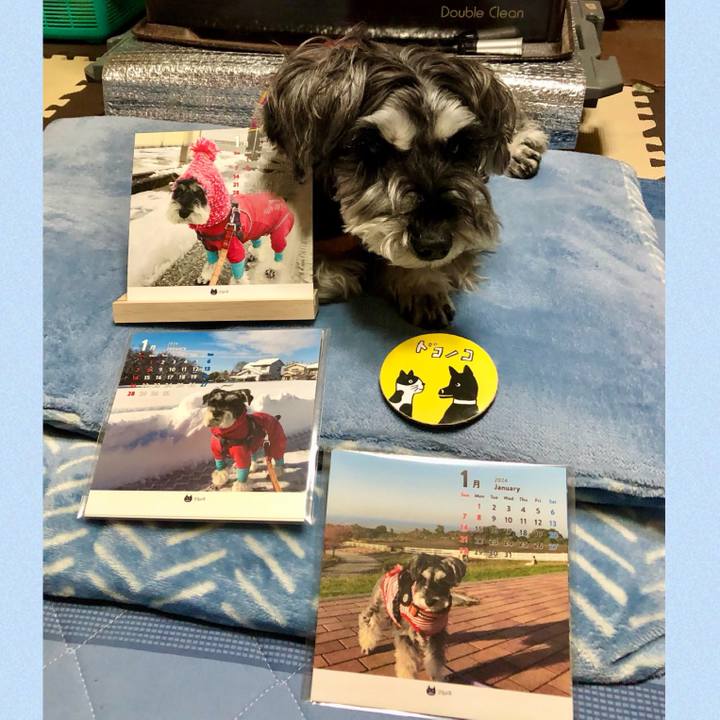 D76ed16c fbfc 496a 91f0 4bf916174027 1700575141276