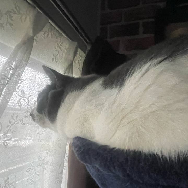 D76f7873 f6a2 4836 a5b2 d815720262ca 1675986290116