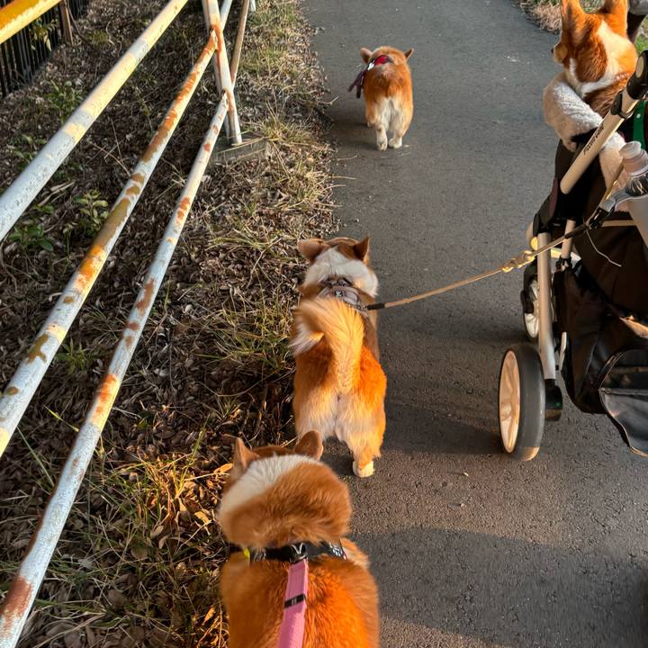 D76fc20b 253f 46c1 9888 af6655e266d8 1739609918878