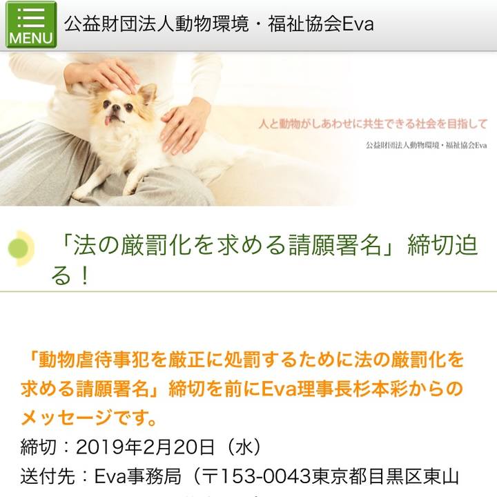 D76fc9c7 34ca 4c7c a349 c86194790e7f 1549970624082