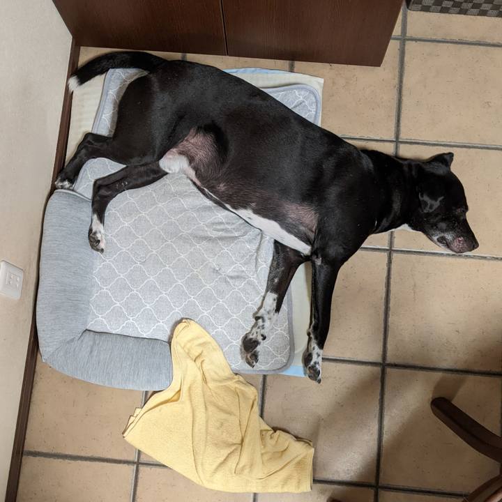 D76ff4d9 3747 4e73 879f 5e2b50fe04a0 1693525454604