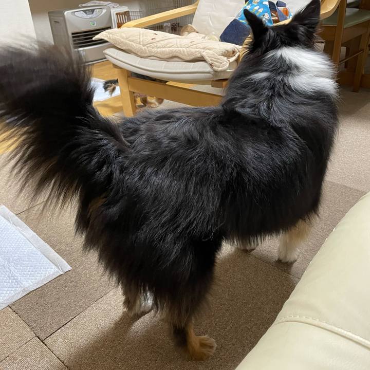 D7705878 d1e5 4629 bc48 bc519c1a46b8 1611870995800