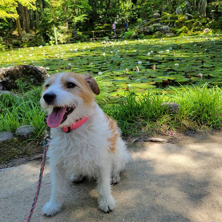 D7705b96 36af 45ca 8112 1cce4382fd47 1717221801072