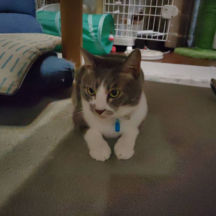 D7706748 fc82 493b 9895 48fae540c535 1695651422830