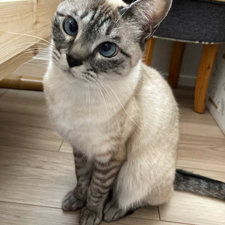 D7709ed7 43cf 4c43 b13e d46abfb4b695 1615470212876