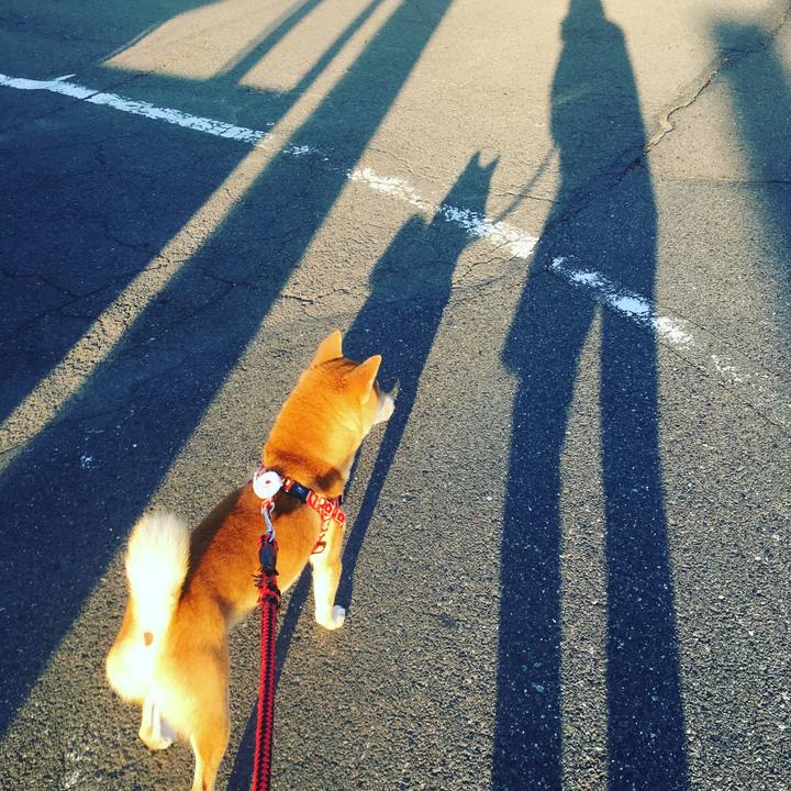 D770b26d 80e8 4752 8c2e 85b844d3f7dc 1526988701822