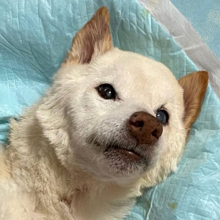 D770c0d5 6460 4333 a272 c66597a9efcf 1679189057485